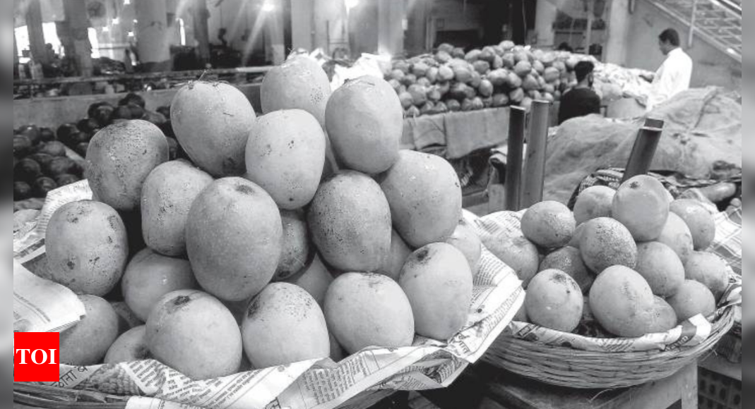 Goa: Agri institute on mission to get GI tag for mancurad mango