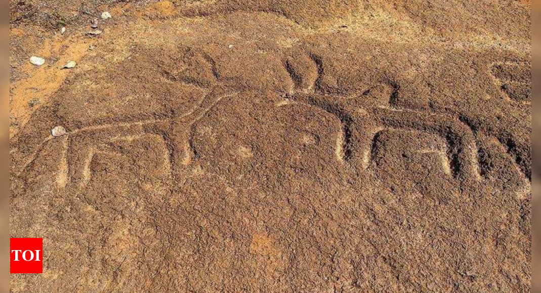 Depictions of fauna reveal intriguing insights in ancient Goan art