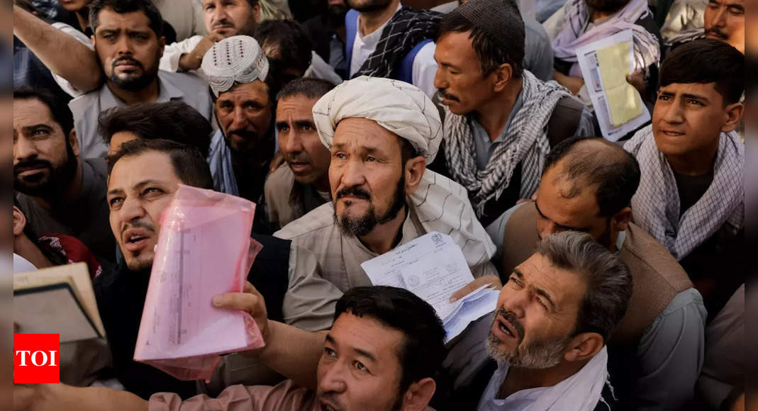 taliban: Passport workplace reopening offers threatened Afghans hope - Instances of India