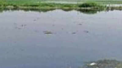 Friends indeed: 27 ‘wetland mitras’ to help conserve, revive waterbodies around Delhi