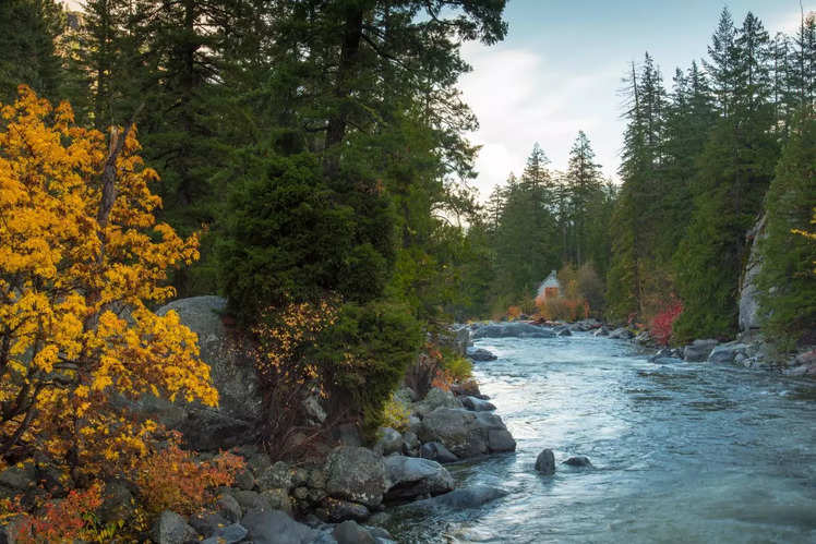 In pictures: Kashmir in autumn | Times of India Travel