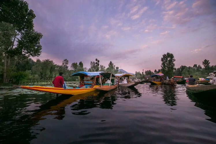 Visit Dal Lake, adorned with Chinar leaves