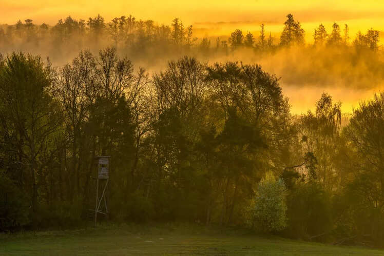 Witness the misty mornings 