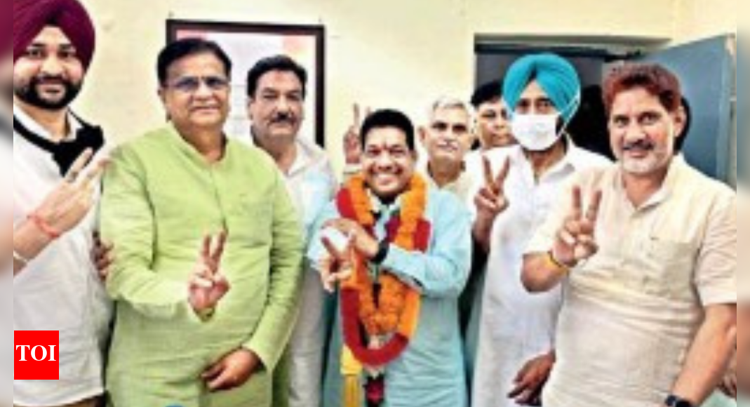 Ellenabad bypoll: MLA Gopal Kanda's brother gets BJP ticket ...