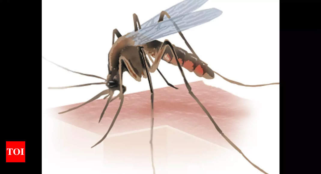 Tamil Nadu records 333 active cases of dengue