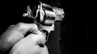 Nashik: Dismissed cop threatens family with revolver, fires at police officer