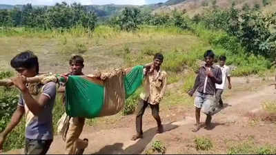 Madhya Pradesh: Woman in labour carried 5 km in sling to ambulance in Barwani