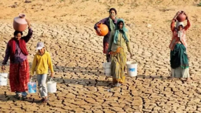 Climate refugee crisis beckons in India if water scarcity continues: 'Waterman' Rajendra Singh