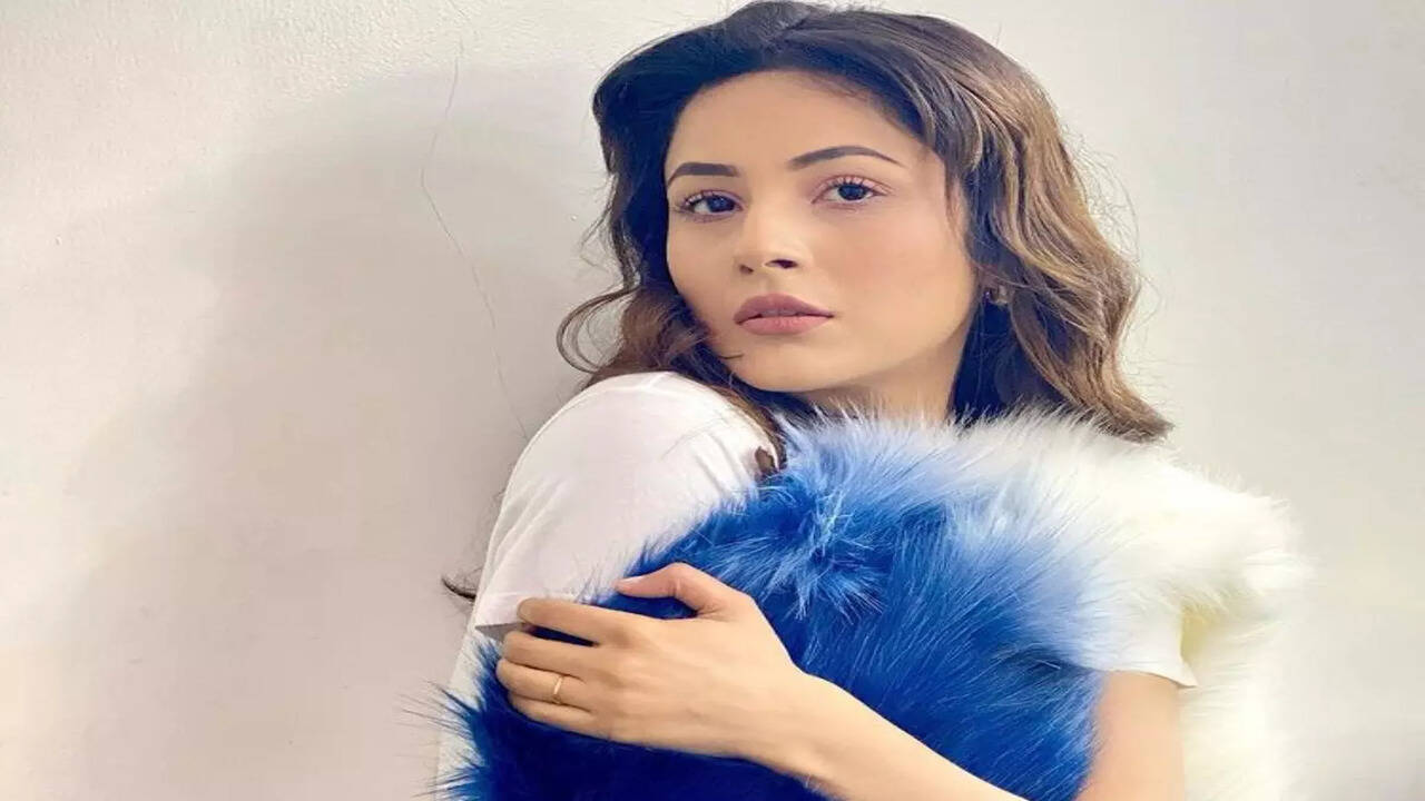 Shehnaaz Gills fans call her sherni after she steps out to promote her  film Honsla Rakh; read tweets - Times of India
