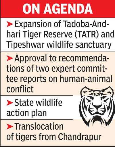 Many key issues to figure in state wildlife board meeting on Tuesday |  Nagpur News - Times of India