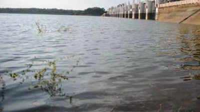 Tamil Nadu: Water at 1,000 cusecs released from Poondi reservoir
