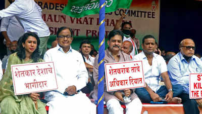 Lakhimpur violence: Congress holds 'Maun Vrat' in Goa