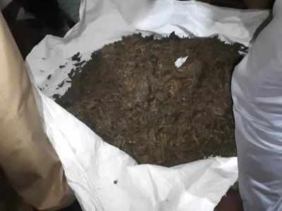 Cops seize 31kg of ganja sent from Andhra via courier