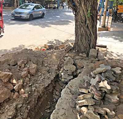 Forest dept’s notice to PWD for damaging four trees in CR Park