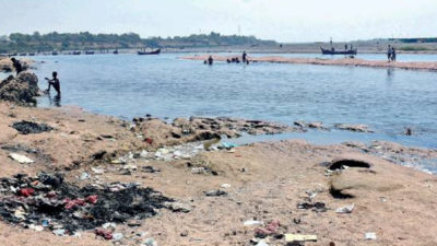 Gujarat HC wants report on efforts to curb pollution in Narmada river