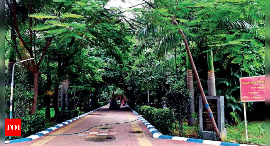 Metro rail devours Chennai’s green spaces