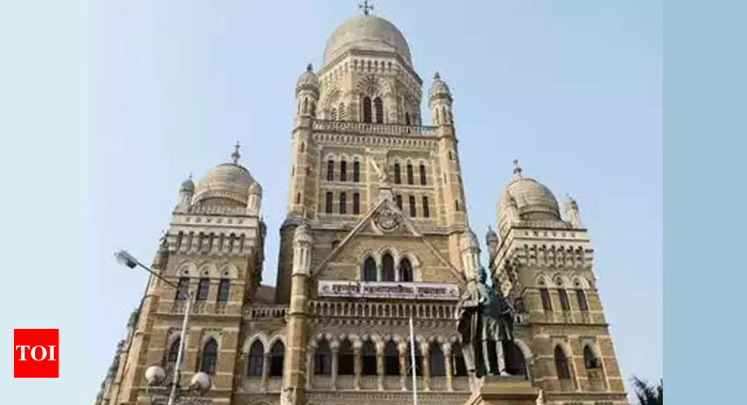 BMC floats Rs 700cr road improvement work tender