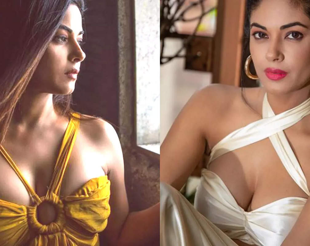
Priyanka Chopra's cousin Meera Chopra files FIR against interior designer accusing him of outraging woman's modesty

