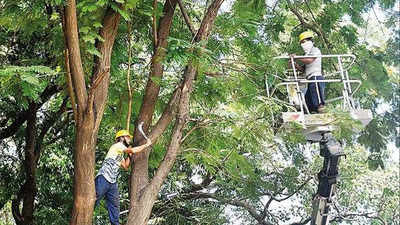 Mumbai: Over 1,300 trees on the chopping block for infra