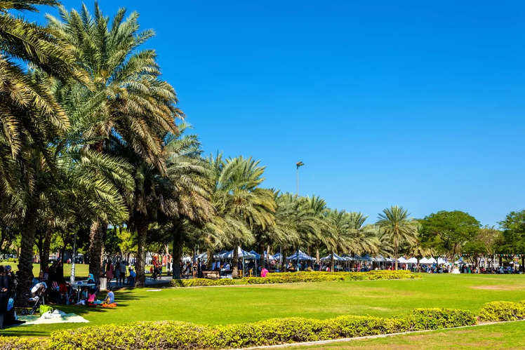 Dubai’s Must-visit Gorgeous Green Parks | Times Of India Travel