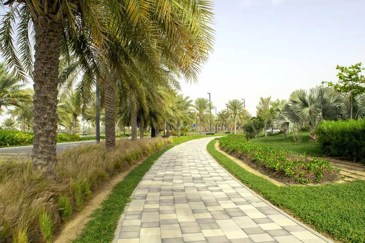 Dubai’s must-visit gorgeous green parks | Times of India Travel