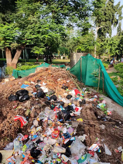 Mountain garbage view - Times of India