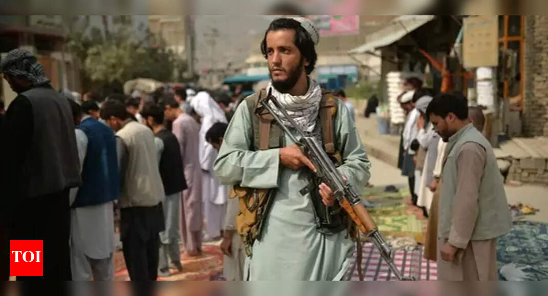 Times of India » World News