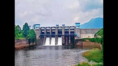 Kerala rains: Irrigation dept opens shutters of Malankara dam