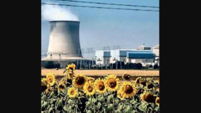 Punjab: Amid coal crisis, all 4 units at Ropar, 3 at Lehra shut