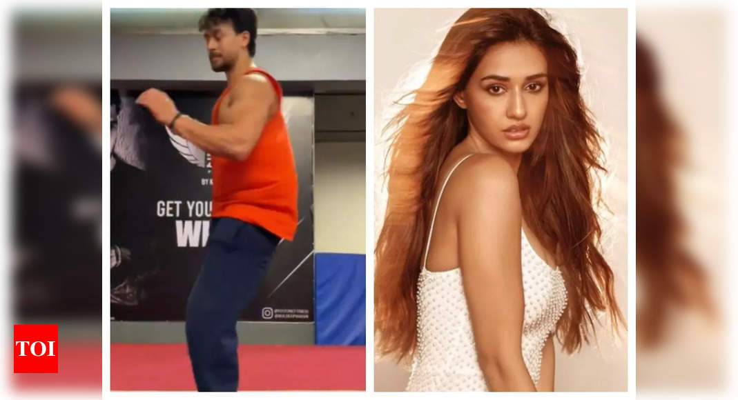 Tiger Shroff Acing Flying Kick In This Video Leaves Rumoured Girlfriend