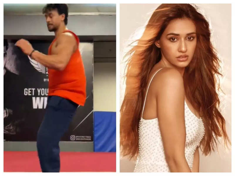 Tiger Shroff Acing Flying Kick In This Video Leaves Rumoured Girlfriend