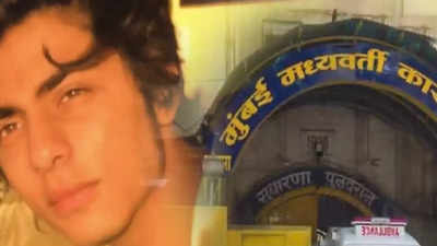 Mumbai cruise drug case: 'Criticism is only making us stronger', says an NCB official while speaking on Aryan Khan's drug case