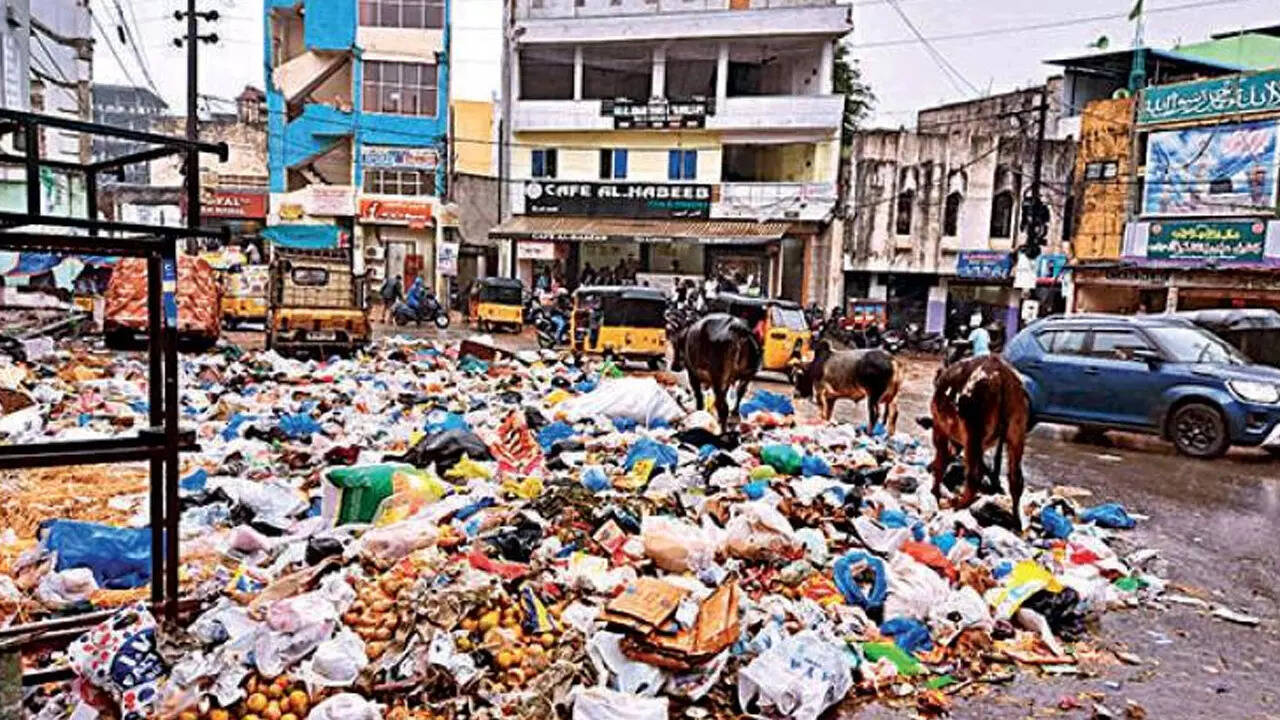 హైదరాబాద్‌లో చెత్త కుప్పల వద్ద సంచరిస్తున్న పశువులు