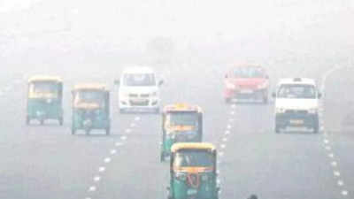 East Delhi Municipal Corporation readies action plan to fight pollution all year round