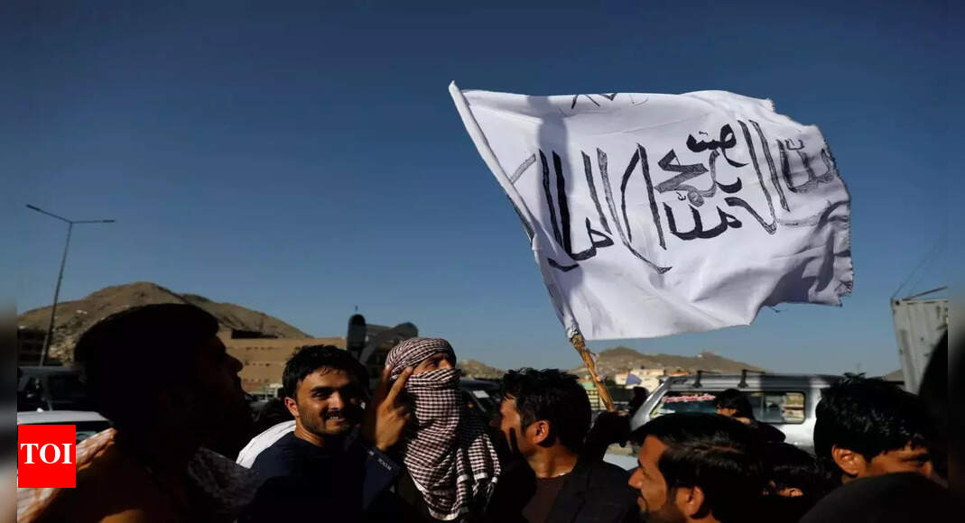 taliban: Taliban promise cash, land, to families of suicide bombers – Times of India