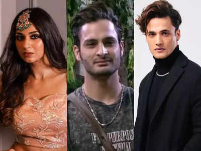 Exclusive - Bigg Boss 15’s Vidhi Pandya: I don’t agree with Farah Khan's judgement about Umar Riaz, he's not Asim’s shadow at all