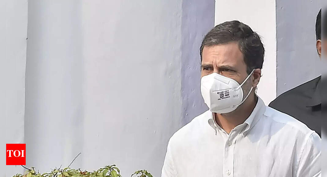 Modi surname case: Jharkhand high court says no coercive action against Rahul Gandhi till Dec 7