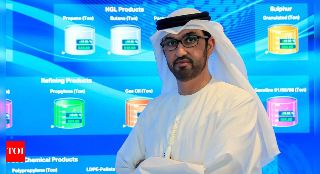 UAE assures energy supplies to India