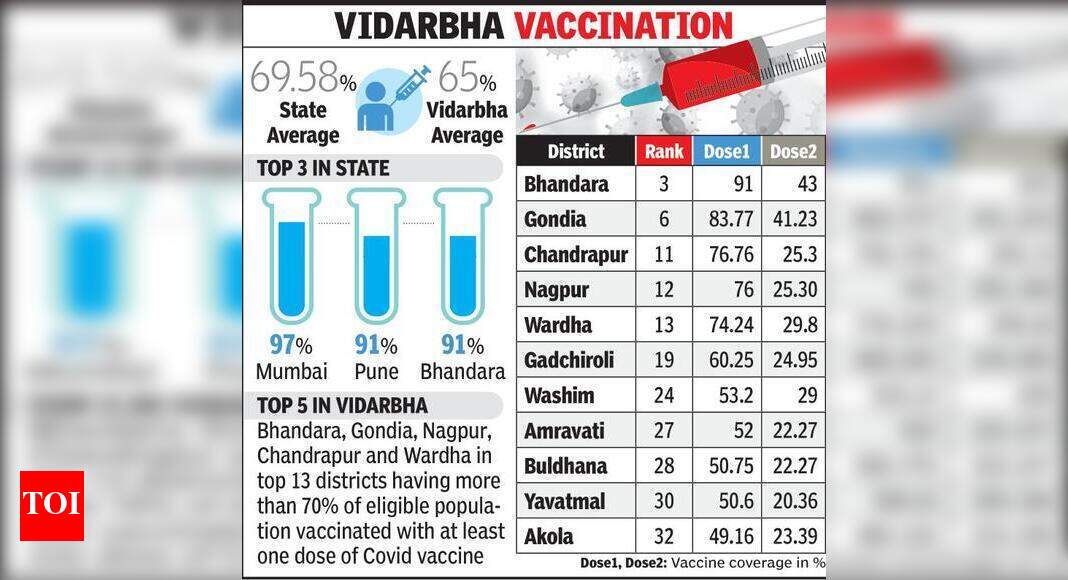 Vax coverage in 5 Vid dists better than state average Nagpur News