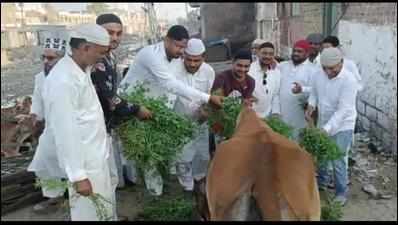 Food, fodder donation marks Eid e Milad