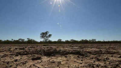 Covid recovery poses dire climate, health risks: Lancet