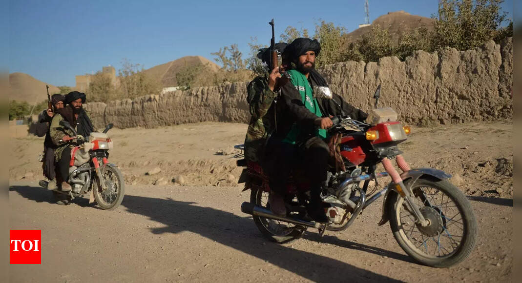 Times of India » World News