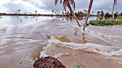 Kerala: Crop loss in Alappuzha estimated at Rs 27 crore