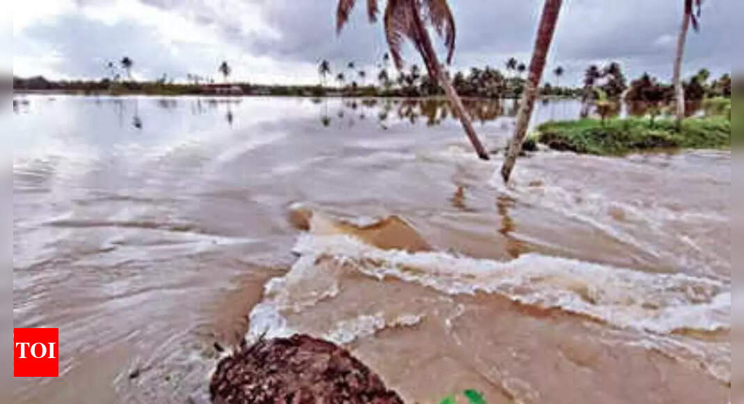 Kerala: Crop loss relief likely in 30 days