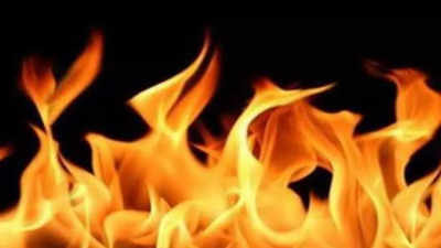 Major fire breaks out at factory in Haryana's Panipat