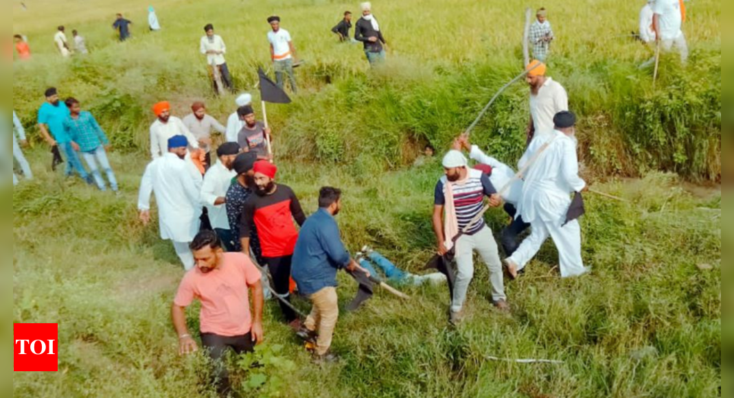 Cop heading SIT probing Lakhimpur Kheri violence transferred | India News – Times of India