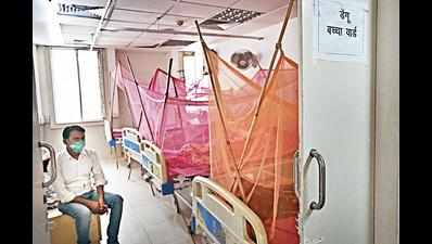 At 286, dengue cases at all-time high