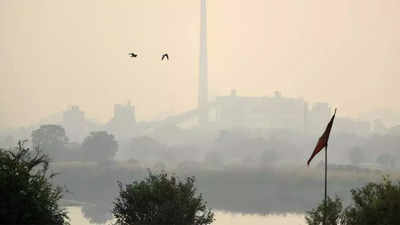 Delhi's air quality likely to stay 'moderate' for two days