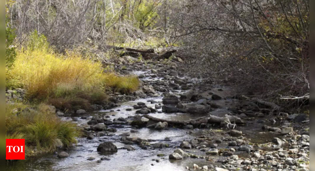 Perubahan iklim mengganggu siklus alam di Danau Tahoe yang lebih kering