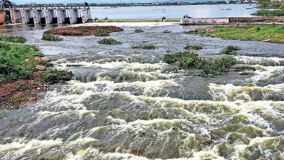 Reclassify Vandiyur as drinking water tank, stop water overflow: Residents